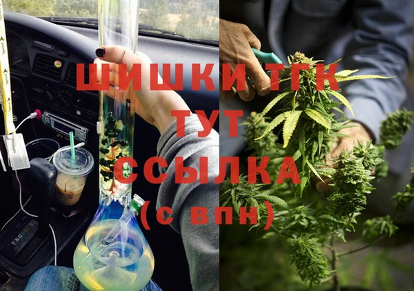 МДПВ Абаза