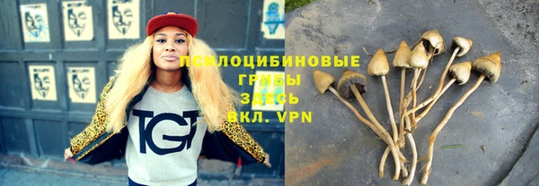 МДПВ Абаза