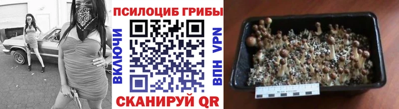мега рабочий сайт  цены наркотик  мориарти состав  Галлюциногенные грибы Cubensis  Абдулино 